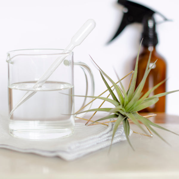 50 Pipette Monouso Da 3ml - Contagocce In Plastica Per Aerografo, Oli Essenziali, Vernici E Liquidi - Foto 13