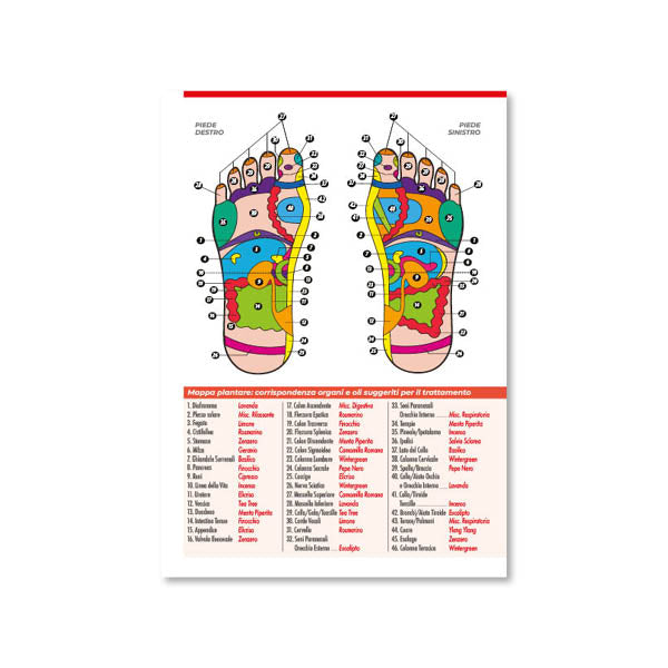 Punti di Luce - Riflessologia & Aromaterapia