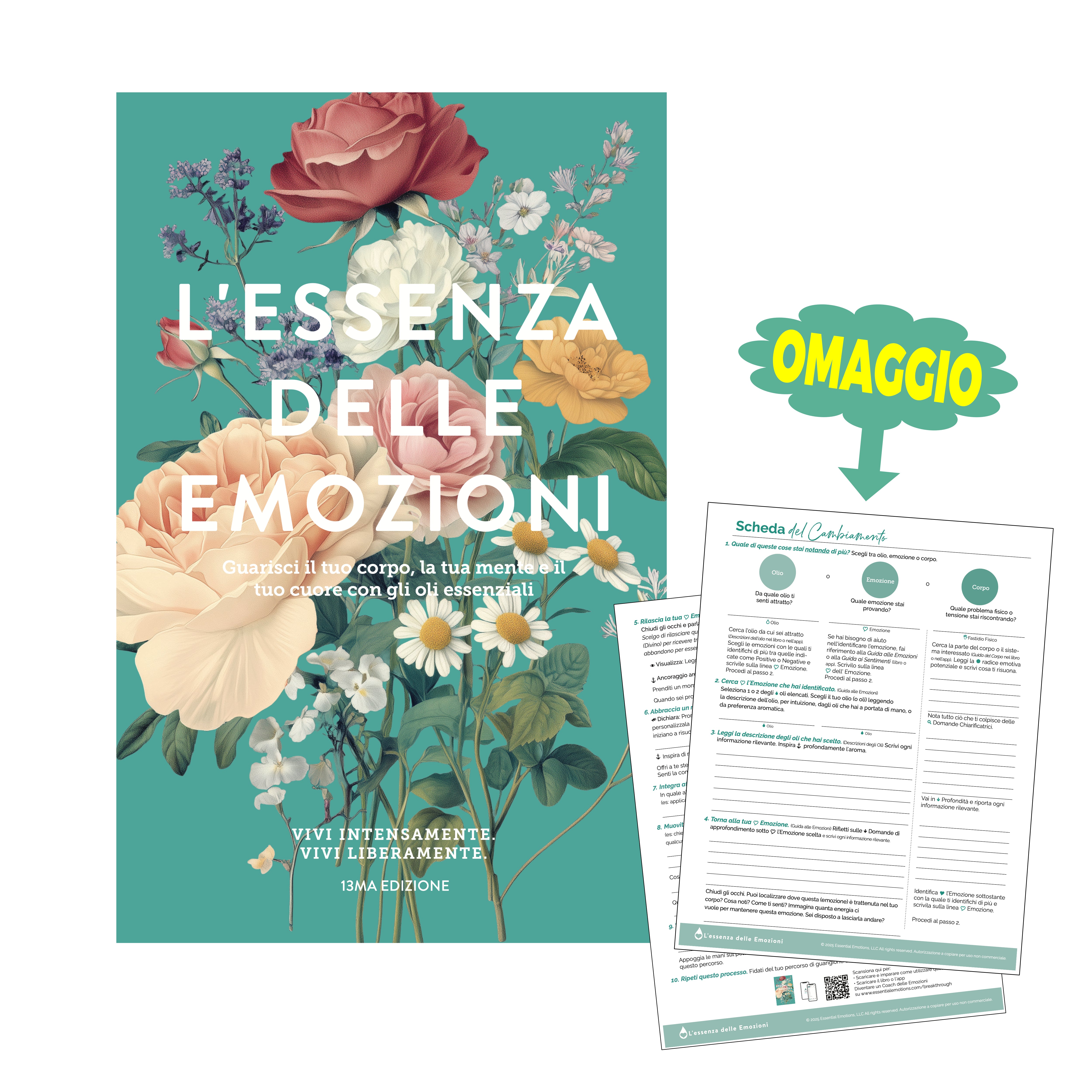 L'essenza delle Emozioni, edizione 13