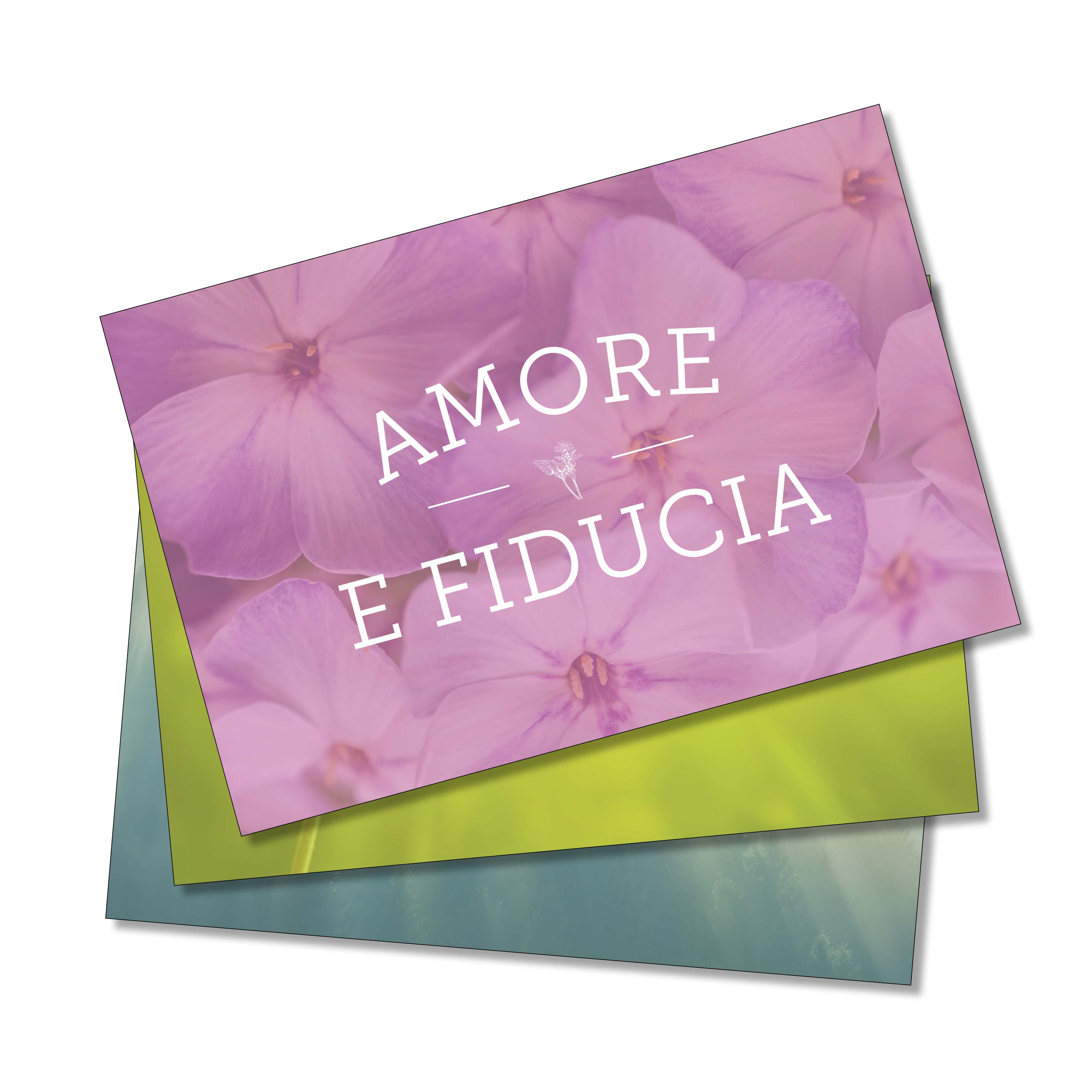 Carte di approfondimento sugli Oli Essenziali